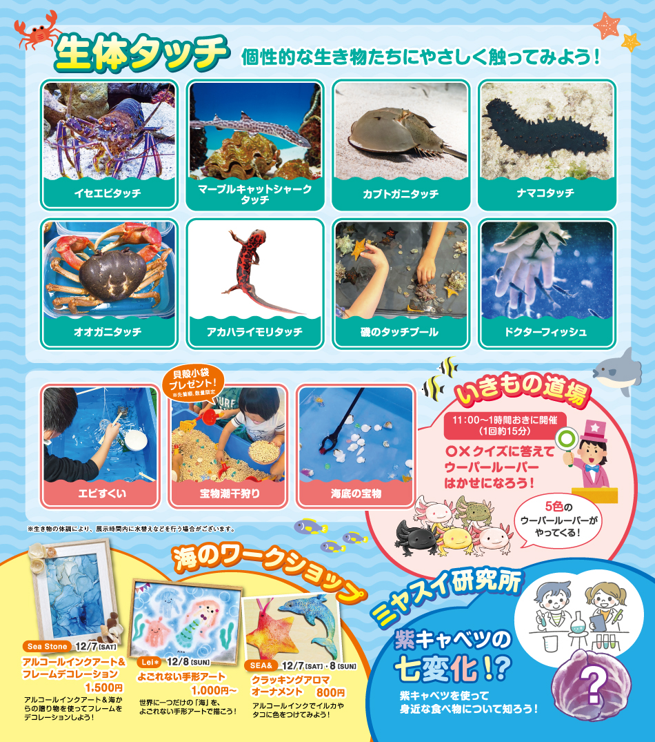 海と日本PROJECT 海・みなと・蒲郡「海辺のあそべ～る水族館」