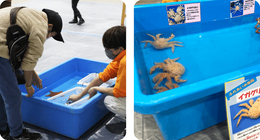 ふれあい水族館