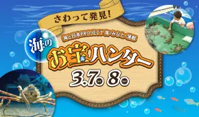 海と日本PROJECT 海・みなと・蒲郡　さわって発見！海のお宝ハンター