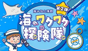 海と日本PROJECT 海・みなと・蒲郡　第2弾　海のワクワク探検隊