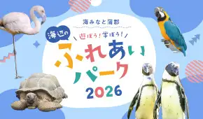 海と日本PROJECT 海みなと蒲郡　海辺ののふれあいパーク2026