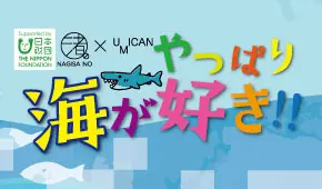 やっぱり海が好き