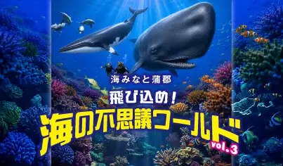 海みなと蒲郡　飛び込め！海の不思議ワールドvol3