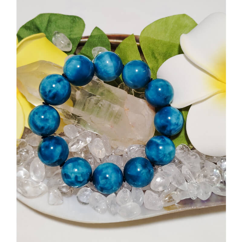 詳細はこちら！