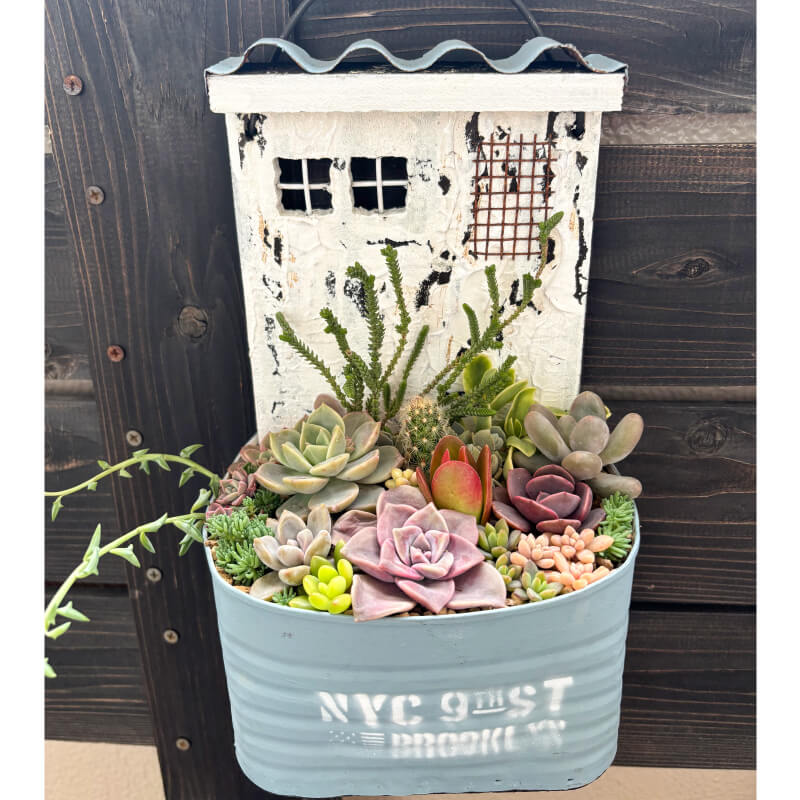 詳細はこちら！