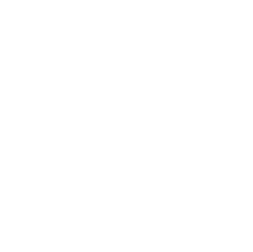 屋外イベント