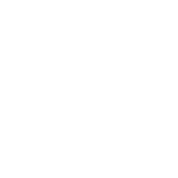 ナイトクルーズ