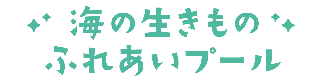 海の生きものふれあいプール