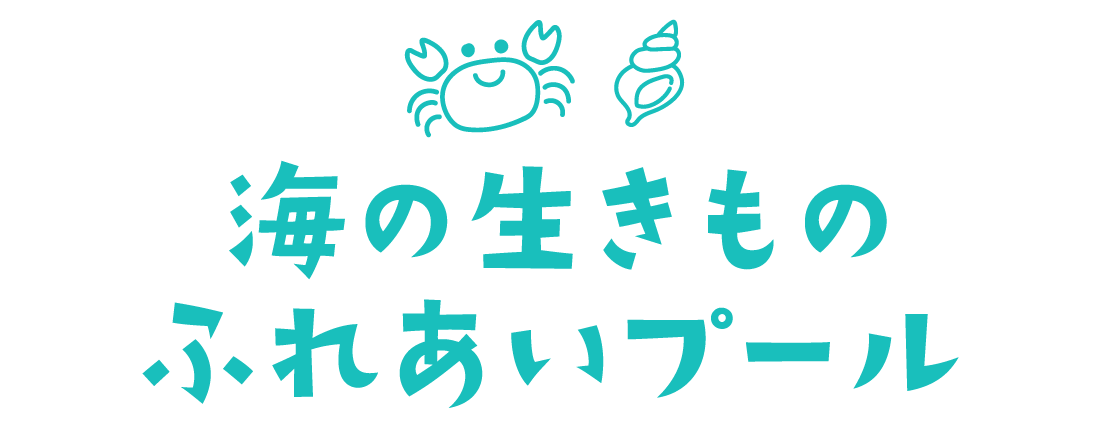 海の生きものふれあいプール