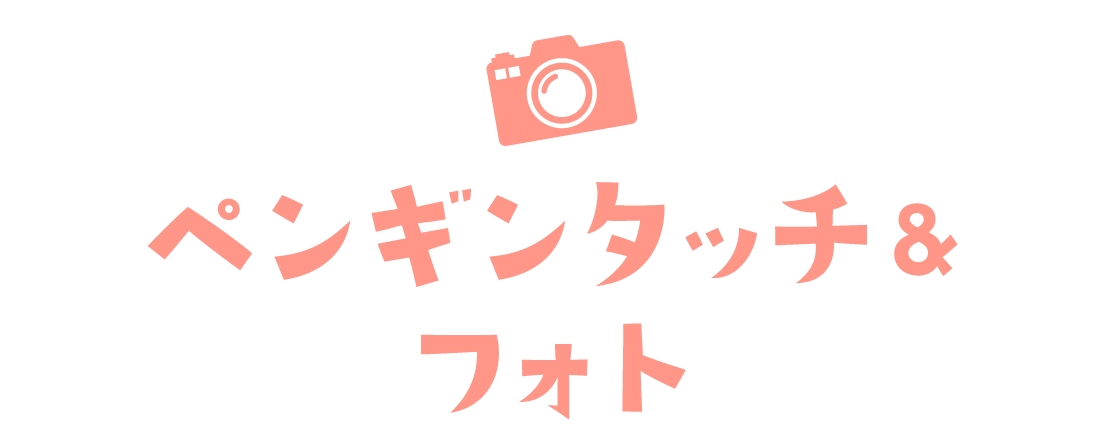 ペンギンタッチフォト