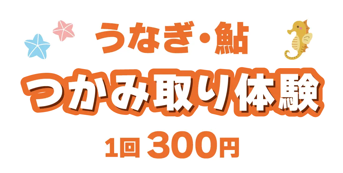 うなぎ・鮎　つかみ取り体験 1回300円
