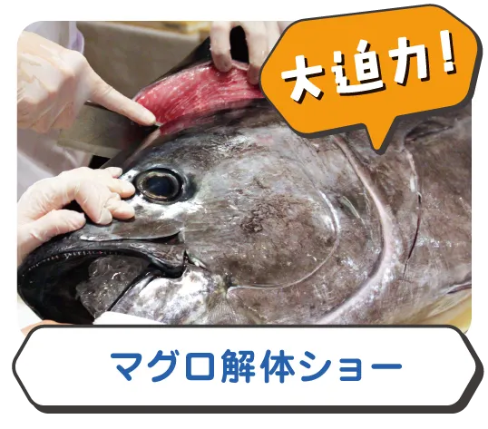 マグロ解体ショー