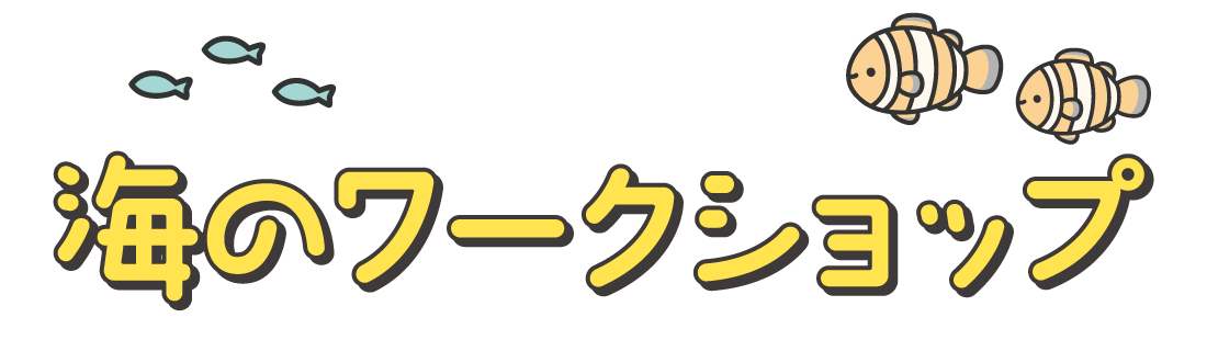 海のワークショップ