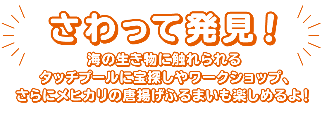 さわって発見！海の生き物に触れられるタッチプールに宝探しやワークショップ、さらにメヒカリの唐揚げふるまいも楽しめるよ！