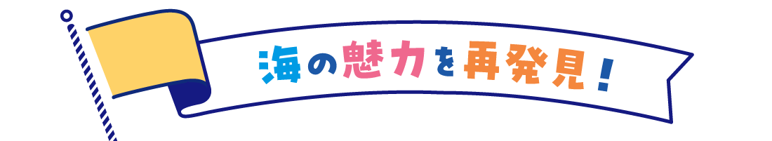 海の魅力を再発見！
