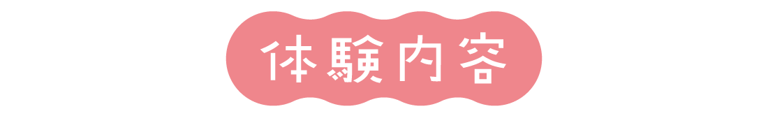 体験内容